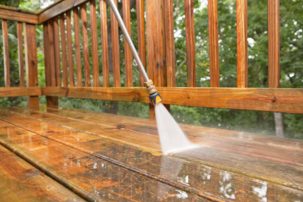 Local Pressure Washing Services in Terrace Heights, WA